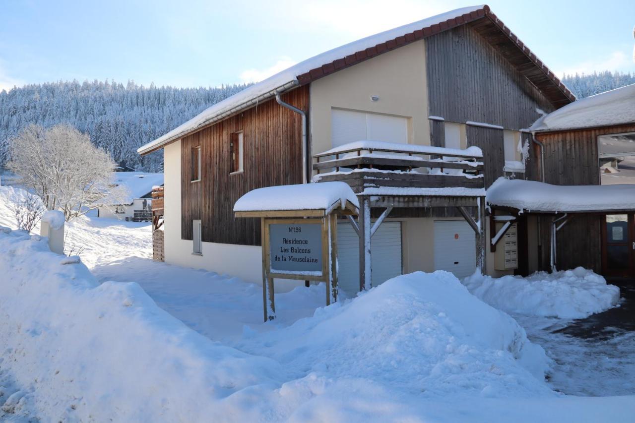 Apartment Location Les Balcons De La Mauselaine 热拉梅 外观 照片